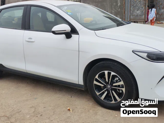 2025 BYD Other