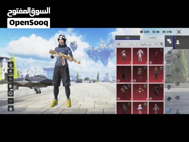 Pubg Accounts and Characters for Sale in Northern Governorate