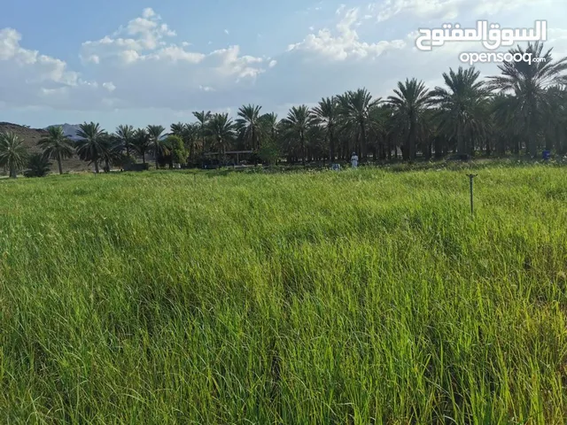 Mixed Use Land for Sale in Al Sharqiya Other