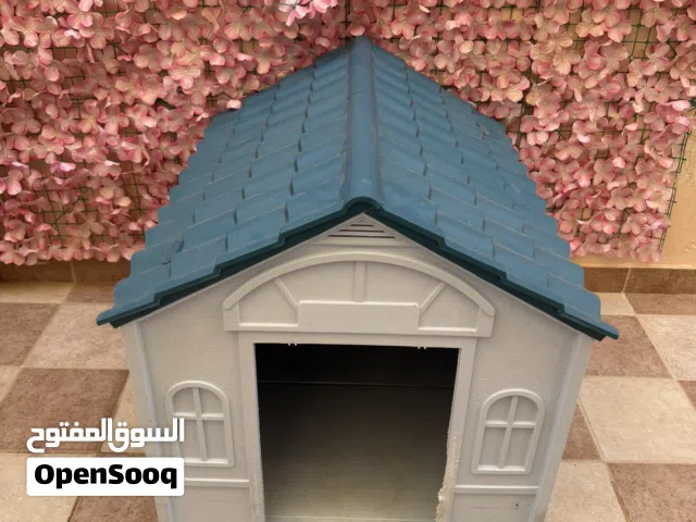 بيت كلب ولا في الخيال