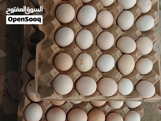 متوفر بيض و دجاج فرنسي و فيومي وعماني