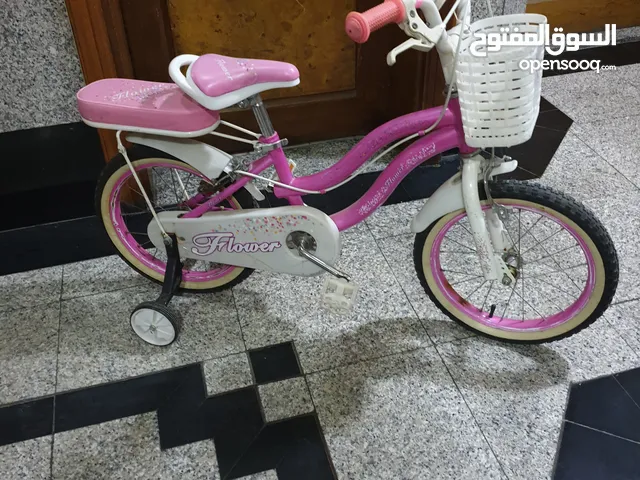 bicycle & scooter