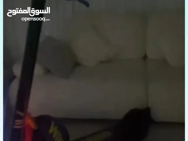 سكوتر للبيع