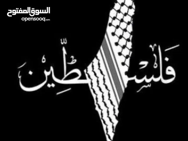 ايمن ابو شباب