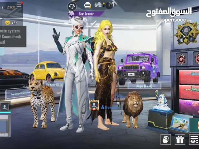 PUBG Mobile Profile Description