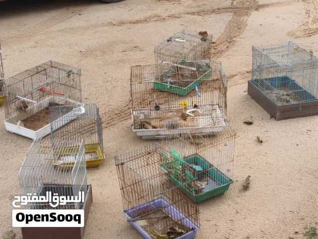 مجموعة قفاص للبيع