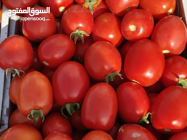 بيع طماط من مزارع الاحواز رقم تواصل 00989032593824