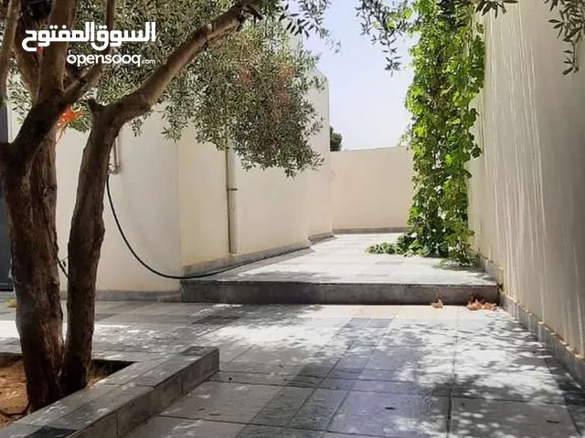 منازل أرضيه مفروشه للإيجار اليومي والإسبوعي والشهري