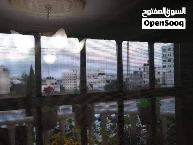 شقة مفروشة للايجار في الماصيون