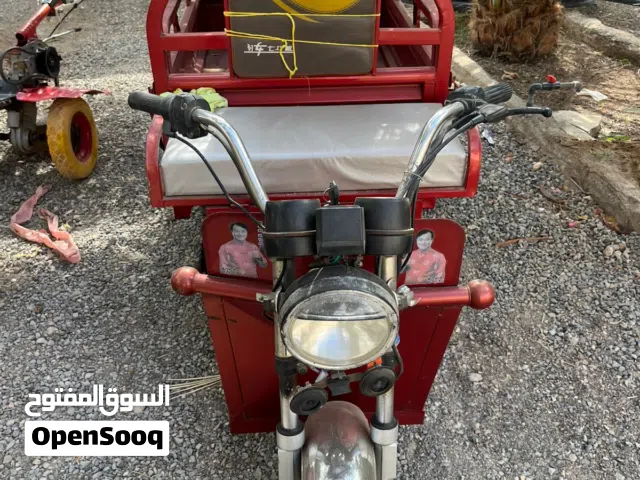 2024 بوجي جميع الفئات