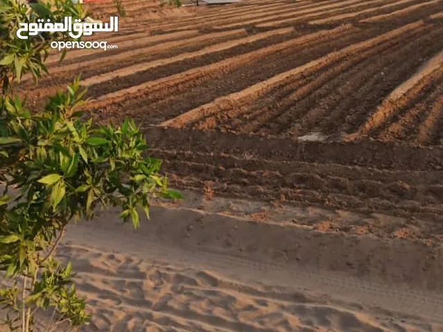 2 Bedrooms Farms for Sale in Al Hudaydah Other