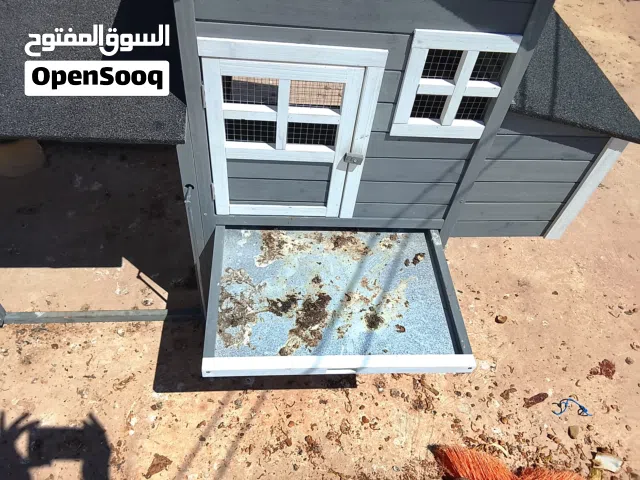 السلام عليكم توكلنا على آلله براكه حمام ودجاج براكه لا قوه الا بالله جديد البراكه سعر نار