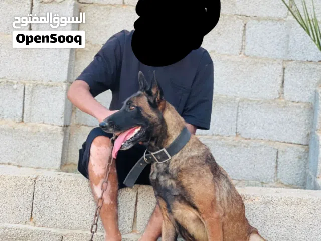 سلام عليكم انتيه مالينوا حاجه تبارك الرحمن