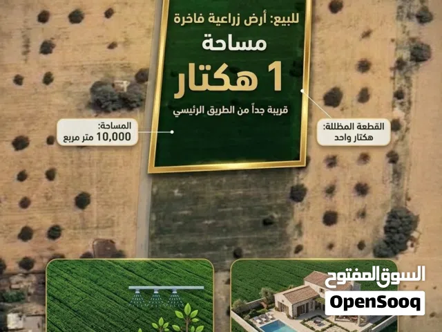 ارض بشهادة عقارية العزيزية