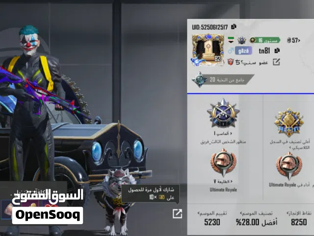 Pubg Accounts and Characters for Sale in Amman