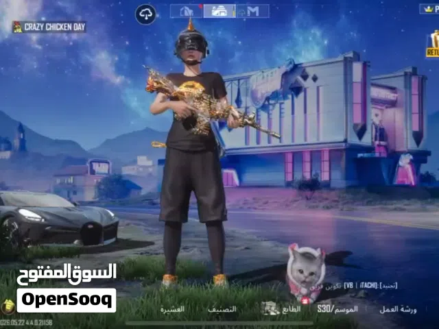 Pubg Accounts and Characters for Sale in Al Bayda'