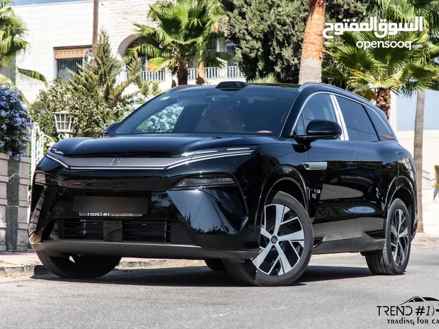 2025, بي واي دي, تانج