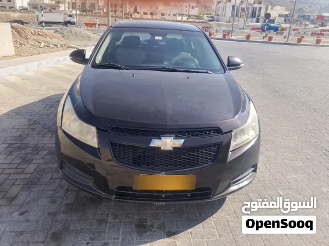 شفر كروز 2015