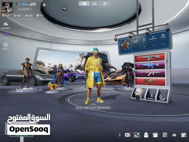 Pubg Accounts and Characters for Sale in Northern Governorate
