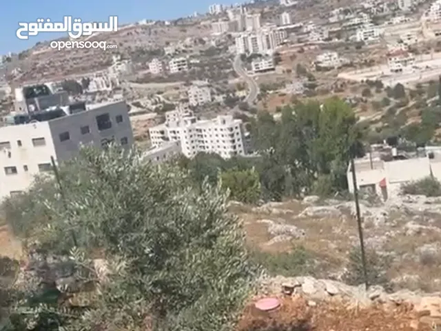 Residential Land for Sale in Ramallah and Al-Bireh Silwad