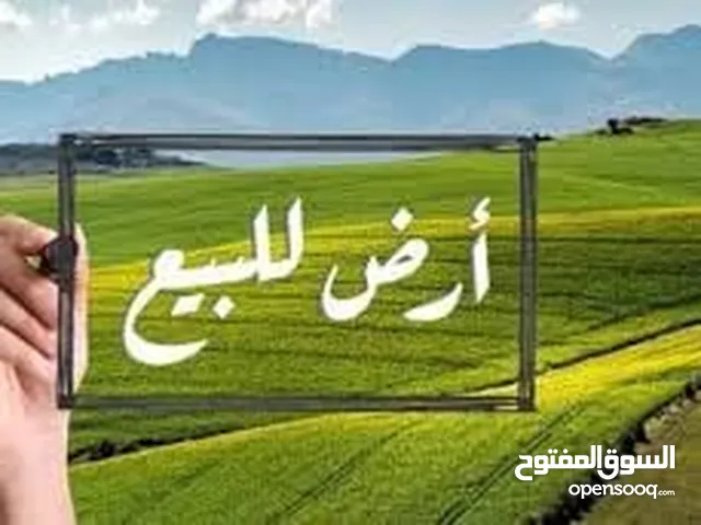 قطعة ارض قرب جامع البرقاوي مستوية لا تحتاج الى جرف