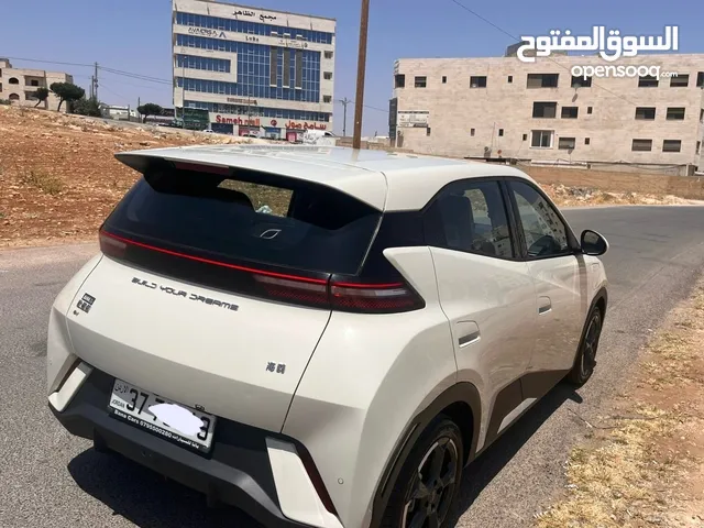 New BYD Seagull in Amman