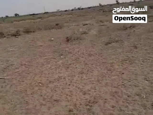 Farm Land for Sale in Al Hudaydah Other
