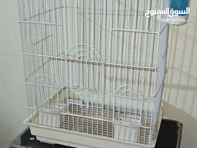 للبيع قفص نضيف بحاله ممتازه