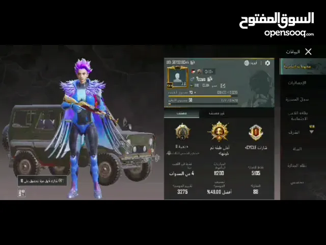 Pubg Accounts and Characters for Sale in Irbid