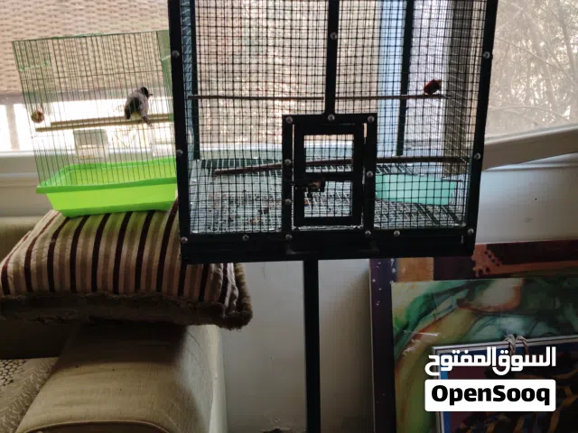 للبيع قفص طيور حجم كبير مع الستاند