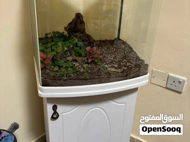 2 Fish Tanks *FOR SALE*