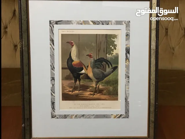 إطاران جميلان وفريدان بهذه المواصفات معروضان للبيع Two beautiful and unique frames