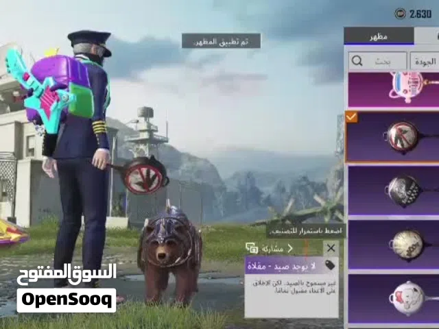Pubg Accounts and Characters for Sale in Jenin