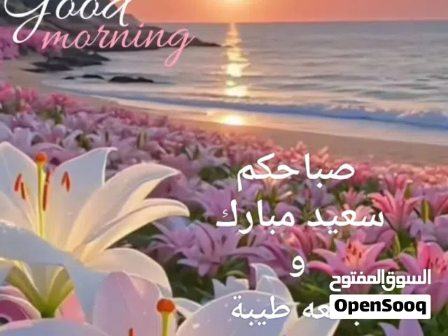 150 m2 2 Bedrooms Villa for Rent in Tripoli Ain Zara