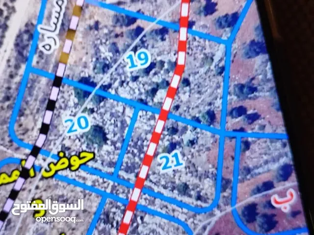 ارض للبيع في قريه بلعين قرى رام الله