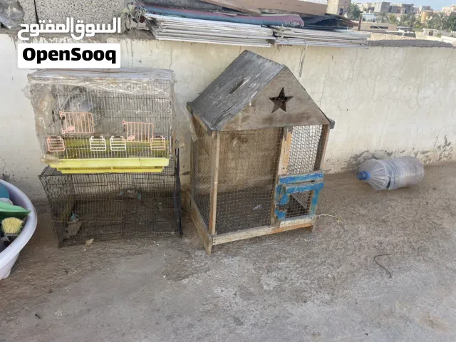 اقفاصً 091555608