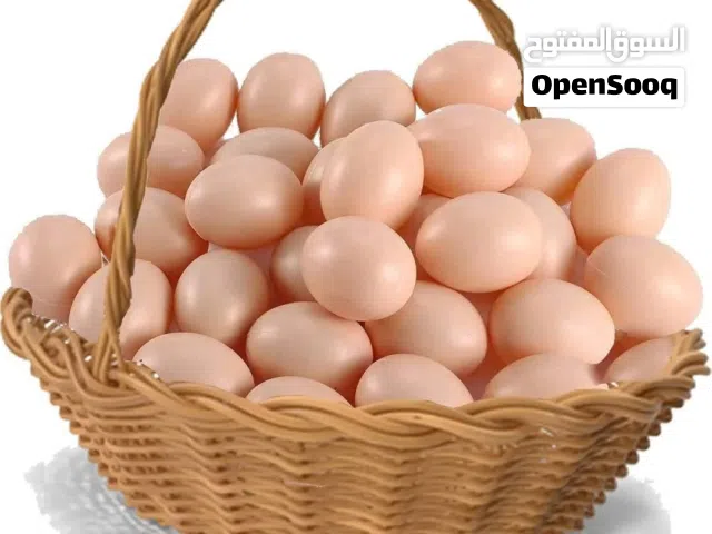 دحي عربي مخلظ