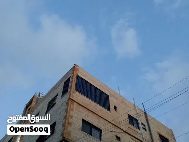 شقه للبيع من المالك مباشره  الذراع الغربي من القرب ديوان ال عمرو