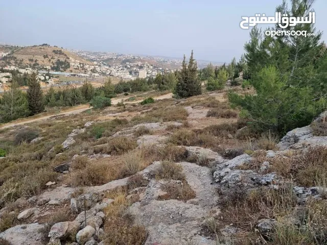 ارض للبيع قرب مستشفى دورا الحكومي