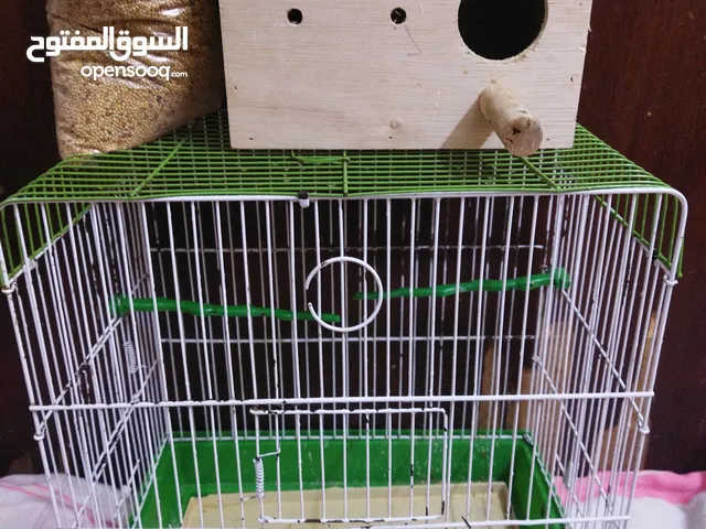 قفص مع بياضة مع اكل طيور وقابل للتفاوض التواصل واتس فقط