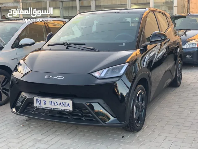 SEAGULL   BYD   موديل 2023