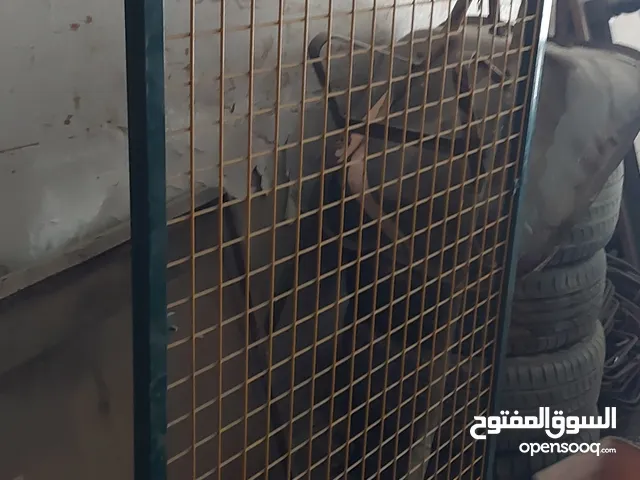ستاند تعليق