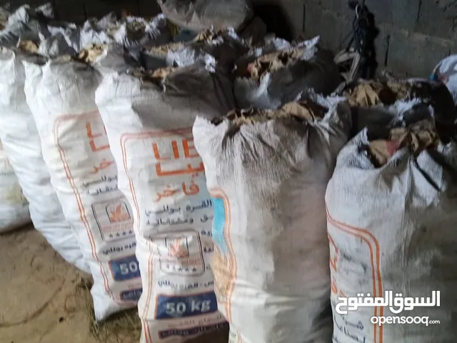 فحم زيتون للبيع مكان مسلاتة