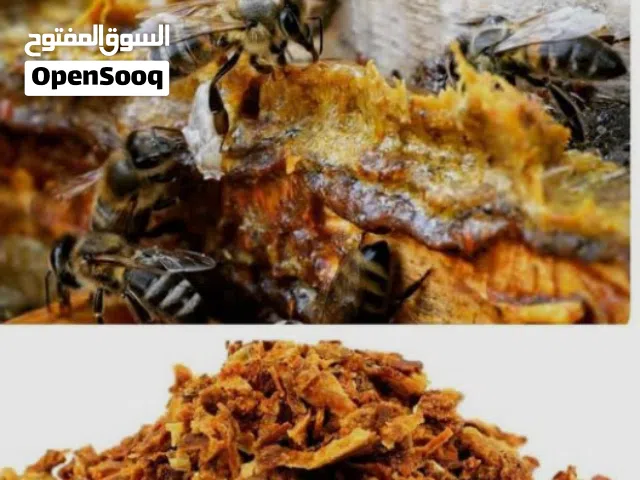 الخلطة الملكية العمانية للنشاط والمناعة (مناحل الصفا)