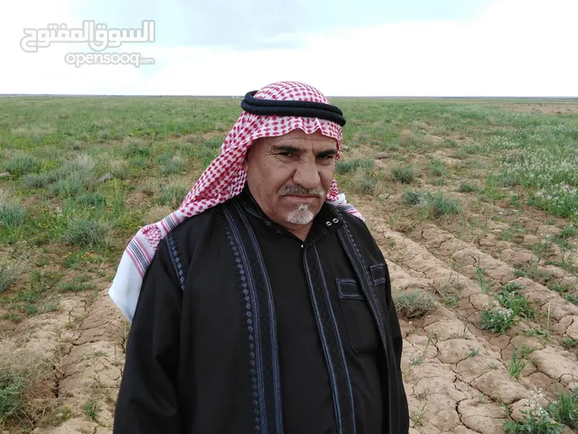 Farm Land for Sale in Mafraq Safawi