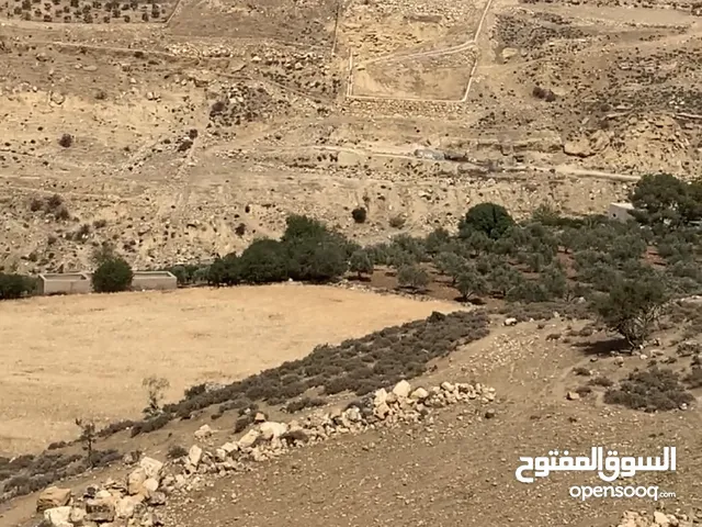 Farm Land for Sale in Salt Jala'd