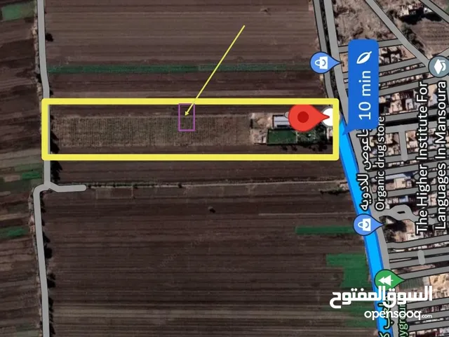 Farm Land for Sale in Mansoura Other