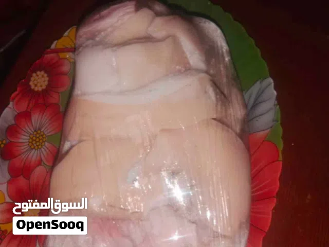 طبق كوارع  طبق كوارع شمبرى 165 كيلو ممبار 200 كيلو كرشه 170 فشه 200 لحمه مفرومه 180 لحمة الراس200