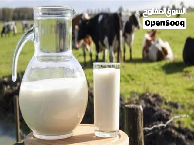 سعر انواع الحليب في الخليج والعالم الماعز والبقر
