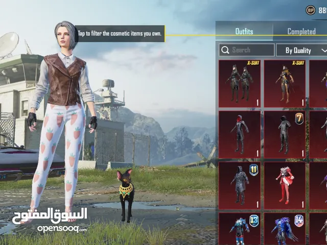 PUBG rare acc for sale in cheap